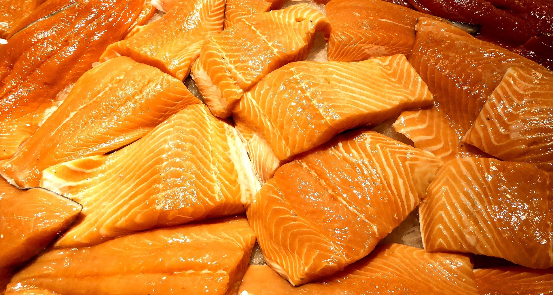 Image of fish